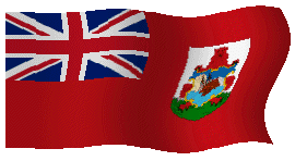  TsarlackONLINE Bermuda 