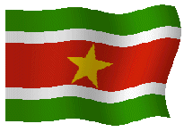  TsarlackONLINE Suriname 