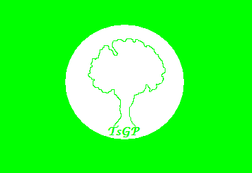 Flag of TsGP