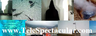 www.Telespectacular.com